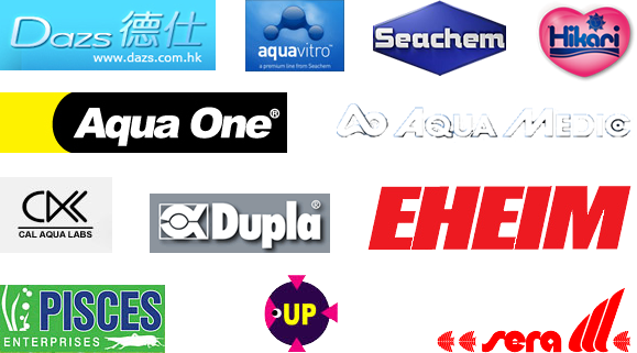B&C Aquarium - Our products